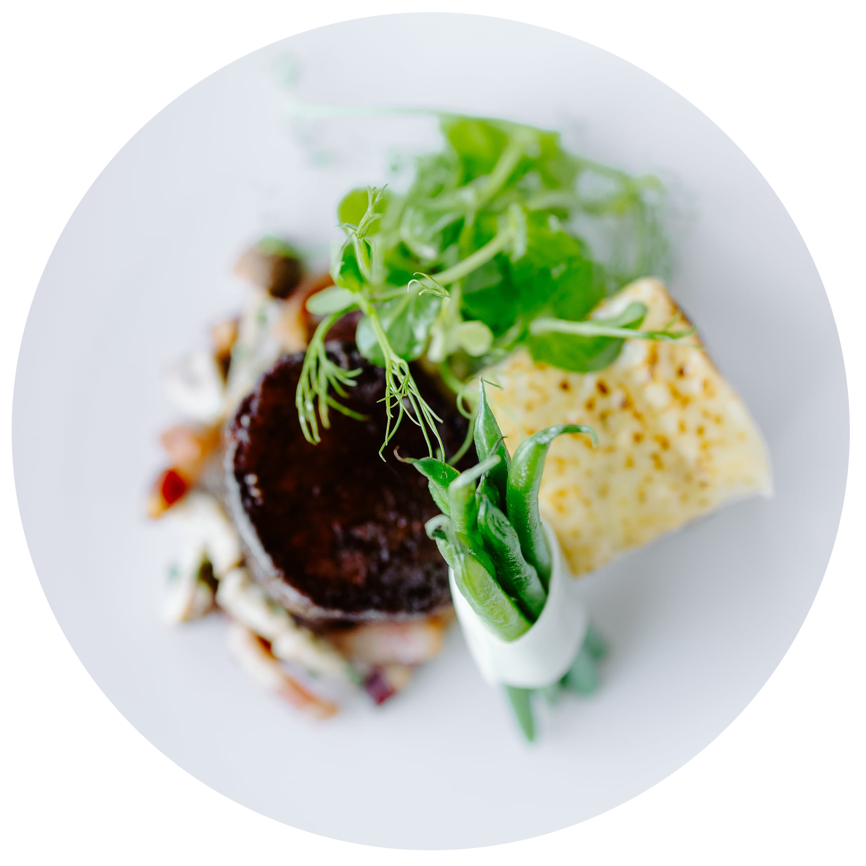 Gourmet dish with a seared piece of meat, garnished with fresh greens, creamy sauce, and a crisp pastry. Presented on a white plate with a light, artistic touch.