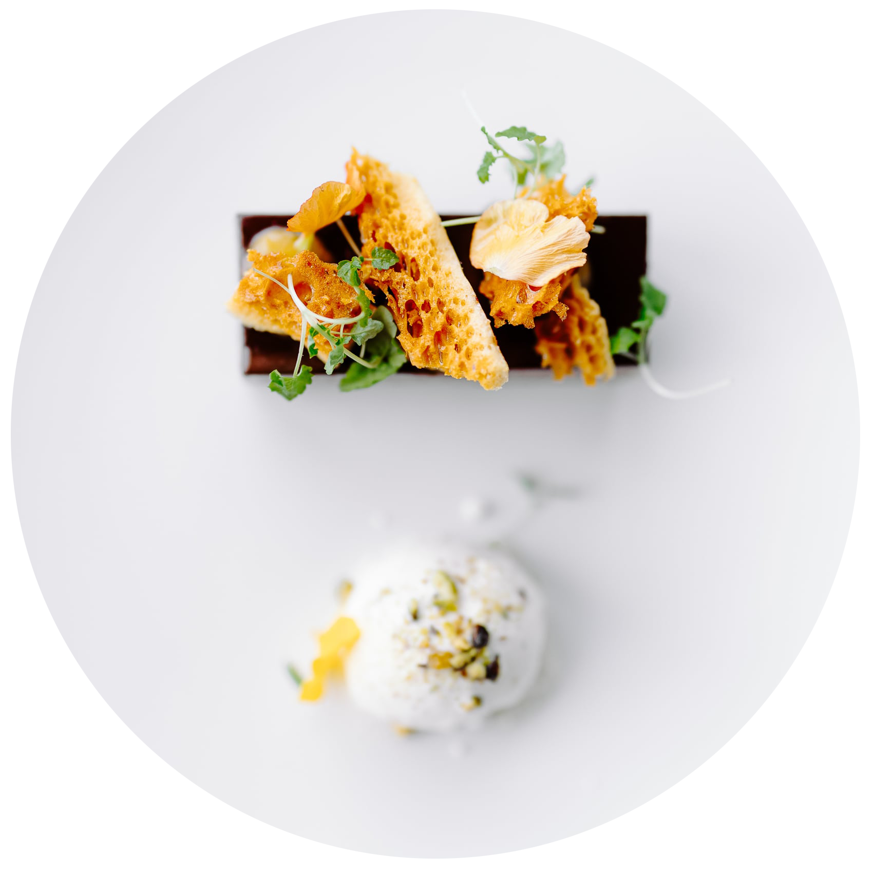 Gourmet dish with a seared piece of meat, garnished with fresh greens, creamy sauce, and a crisp pastry. Presented on a white plate with a light, artistic touch.